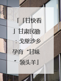 「甘快看」甘肃民勤：戈壁沙乡孕育“甘味”领头羊
