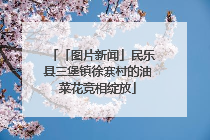 「图片新闻」民乐县三堡镇徐寨村的油菜花竞相绽放