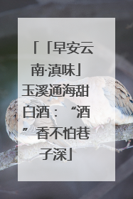 「早安云南·滇味」玉溪通海甜白酒：“酒”香不怕巷子深