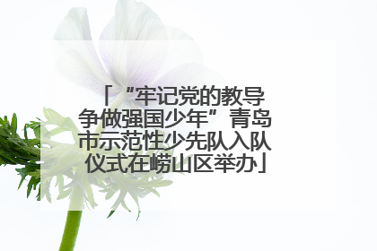 “牢记党的教导 争做强国少年”青岛市示范性少先队入队仪式在崂山区举办