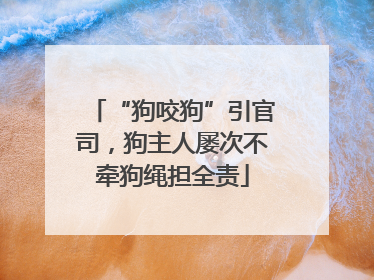 “狗咬狗”引官司，狗主人屡次不牵狗绳担全责