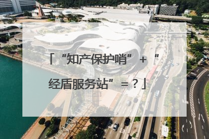 “知产保护哨”+“经盾服务站”=？