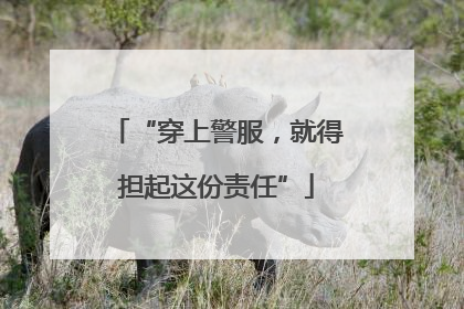 “穿上警服，就得担起这份责任”
