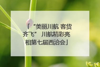 “美丽川航 客货齐飞” 川航精彩亮相第七届西洽会