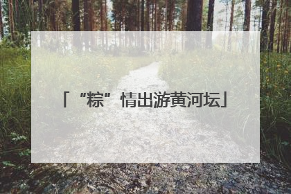 “粽”情出游黄河坛