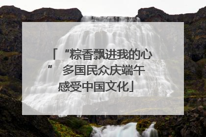 “粽香飘进我的心” 多国民众庆端午感受中国文化
