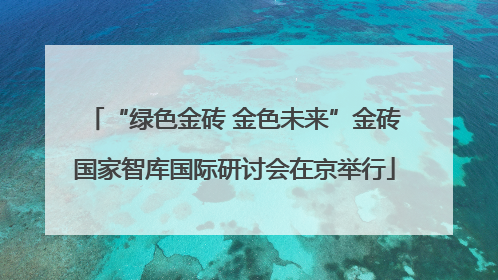 “绿色金砖 金色未来”金砖国家智库国际研讨会在京举行
