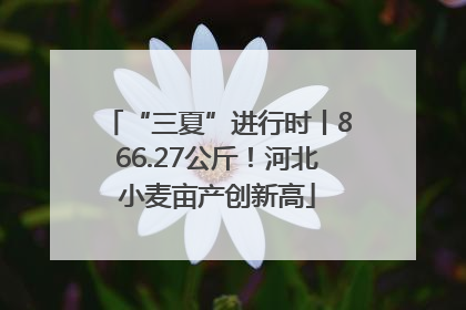 “三夏”进行时丨866.27公斤！河北小麦亩产创新高