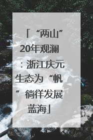 “两山”20年观澜：浙江庆元生态为“帆”徜徉发展蓝海