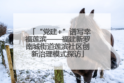 “党建+”谱写幸福莲滨——福建新罗南城街道莲滨社区创新治理模式探访