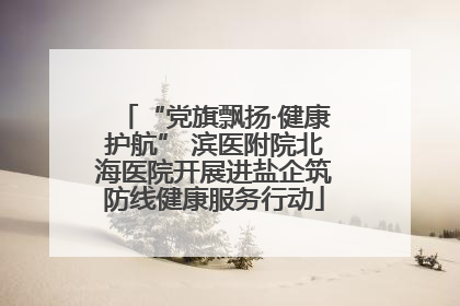 “党旗飘扬·健康护航” 滨医附院北海医院开展进盐企筑防线健康服务行动