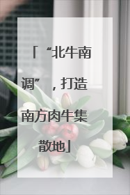 “北牛南调”，打造南方肉牛集散地