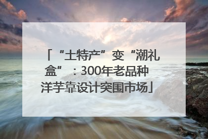 “土特产”变“潮礼盒”：300年老品种洋芋靠设计突围市场