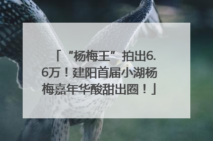 “杨梅王”拍出6.6万！建阳首届小湖杨梅嘉年华酸甜出圈！