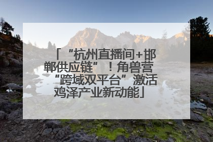 “杭州直播间+邯郸供应链”！角兽营“跨域双平台”激活鸡泽产业新动能
