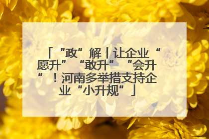 “政”解丨让企业“愿升”“敢升”“会升”！河南多举措支持企业“小升规”