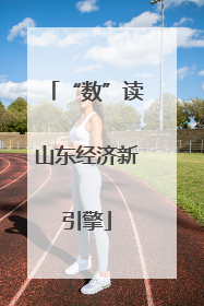 “数”读山东经济新引擎