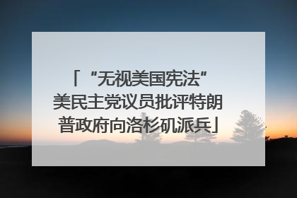 “无视美国宪法” 美民主党议员批评特朗普政府向洛杉矶派兵
