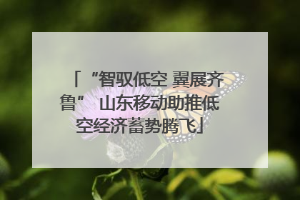 “智驭低空 翼展齐鲁” 山东移动助推低空经济蓄势腾飞