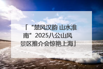 “楚风汉韵 山水淮南”2025八公山风景区推介会惊艳上海