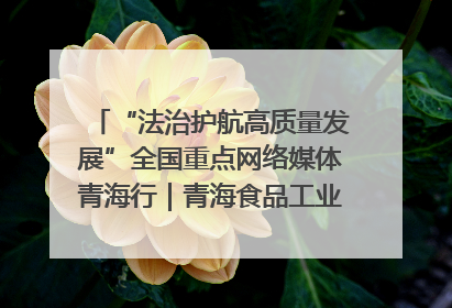 “法治护航高质量发展”全国重点网络媒体青海行｜青海食品工业协会：架起“青字号”美食的产业化桥梁