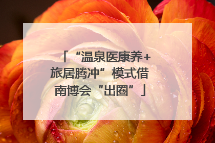 “温泉医康养+旅居腾冲”模式借南博会“出圈”