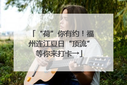 “荷”你有约！福州连江夏日“顶流”等你来打卡→