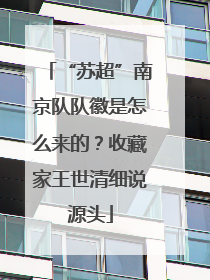 “苏超”南京队队徽是怎么来的？收藏家王世清细说源头