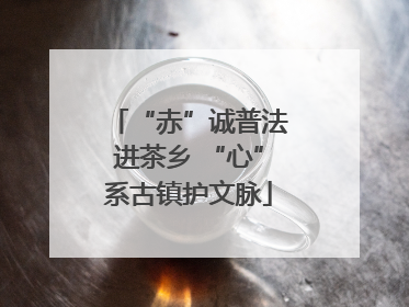 “赤”诚普法进茶乡 “心”系古镇护文脉