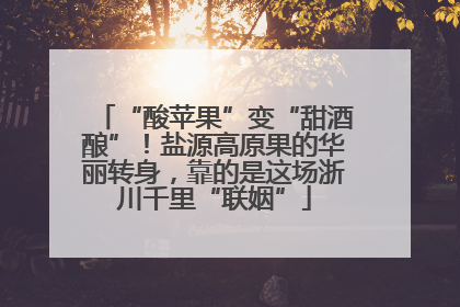 “酸苹果”变“甜酒酿”！盐源高原果的华丽转身，靠的是这场浙川千里“联姻”
