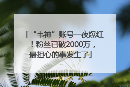 “韦神”账号一夜爆红！粉丝已破2000万，最担心的事发生了