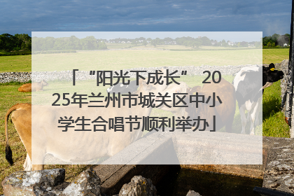 “阳光下成长” 2025年兰州市城关区中小学生合唱节顺利举办