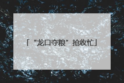 “龙口夺粮”抢收忙