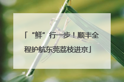 “鲜”行一步！顺丰全程护航东莞荔枝进京