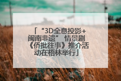 “3D全息投影+闽南非遗” 情景剧《侨批往事》推介活动在梧林举行