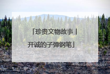珍贵文物故事丨开诚的子弹钢笔
