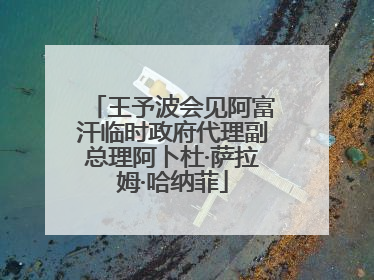 王予波会见阿富汗临时政府代理副总理阿卜杜·萨拉姆·哈纳菲