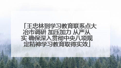 王忠林到学习教育联系点大冶市调研 加压加力 从严从实 确保深入贯彻中央八项规定精神学习教育取得实效