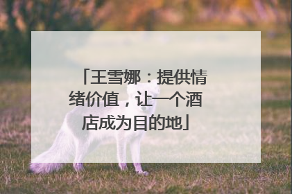 王雪娜：提供情绪价值，让一个酒店成为目的地