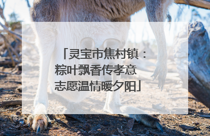 灵宝市焦村镇：粽叶飘香传孝意 志愿温情暖夕阳