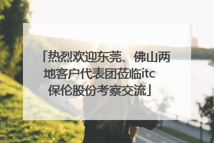热烈欢迎东莞、佛山两地客户代表团莅临itc保伦股份考察交流