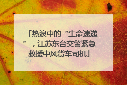 热浪中的“生命速递”，江苏东台交警紧急救援中风货车司机