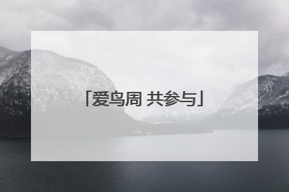 爱鸟周 共参与