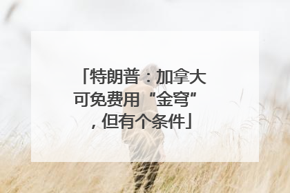 特朗普：加拿大可免费用“金穹”，但有个条件