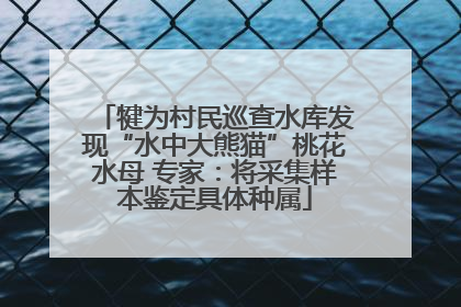 犍为村民巡查水库发现“水中大熊猫”桃花水母 专家：将采集样本鉴定具体种属