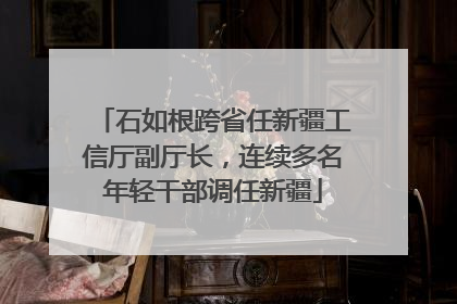 石如根跨省任新疆工信厅副厅长，连续多名年轻干部调任新疆