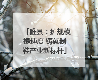 睢县：扩规模提速度 铸就制鞋产业新标杆