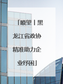 瞭望丨黑龙江省政协精准助力企业纾困