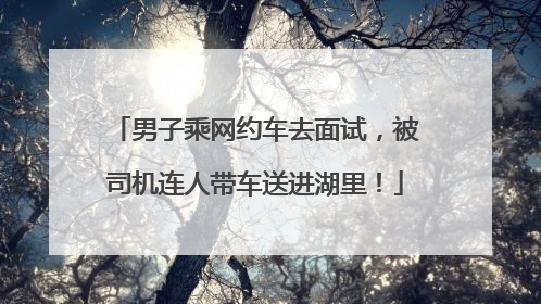 男子乘网约车去面试，被司机连人带车送进湖里！