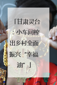 甘肃灵台：小车间榨出乡村全面振兴“幸福油”